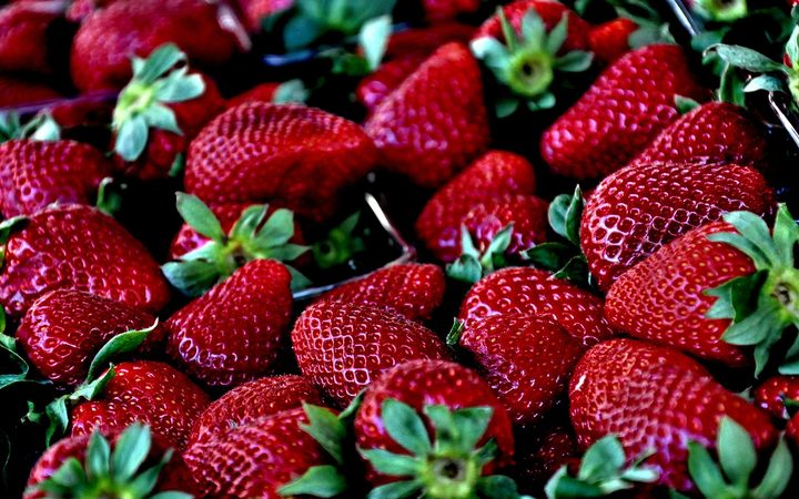 Needles found in strawberries in NZ